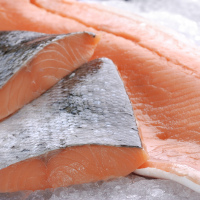 Salmon 
